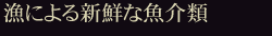 漁による新鮮な魚介類